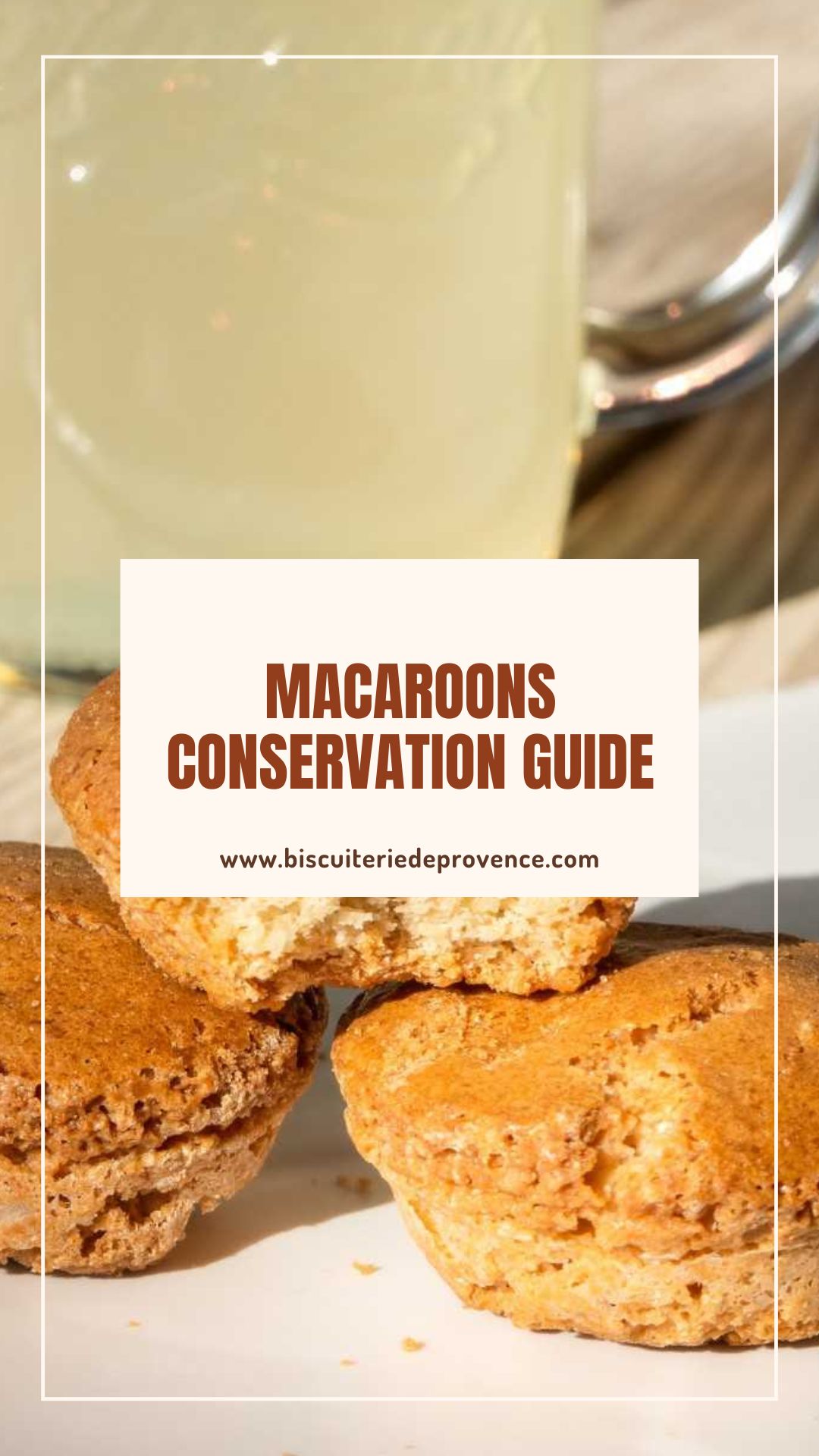 macaroons conservation guide